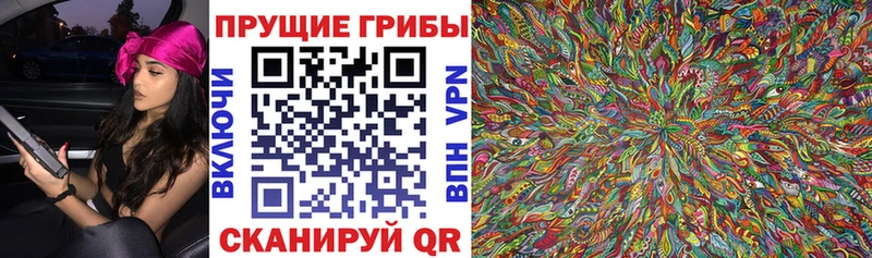 Псилоцибиновые грибы ЛСД  мега ссылка  Волжск 